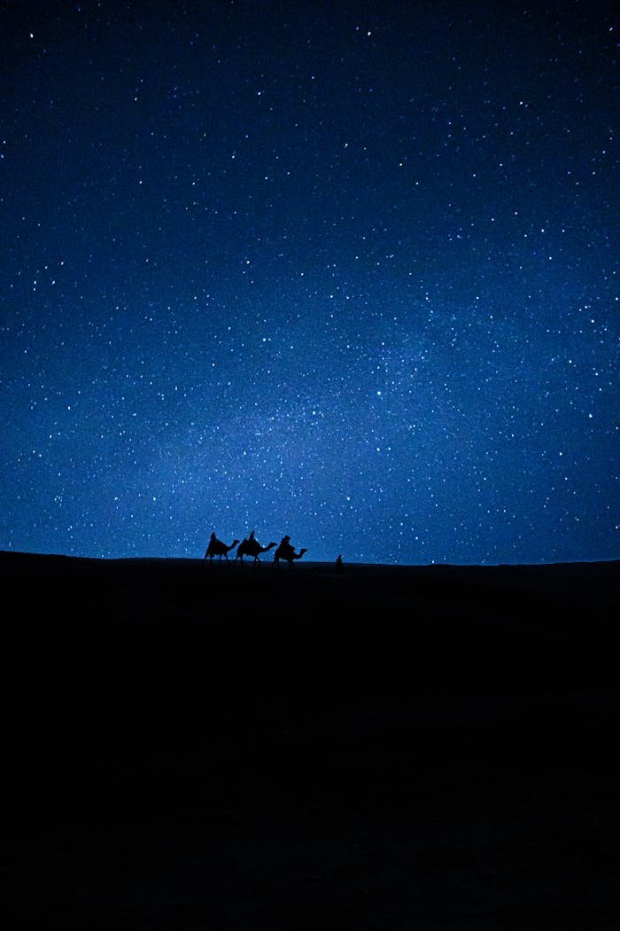 Silhouette of camel caravan under a starry sky in Giza, Egypt. Perfect for travel and adventure themes.