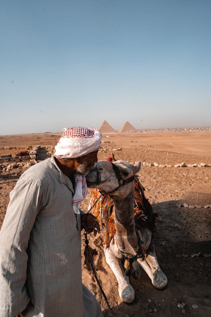 A local man with a camel in front of the iconic Giza Pyramids, Egypt.